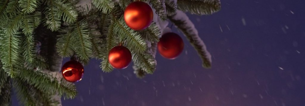 December Newsletter