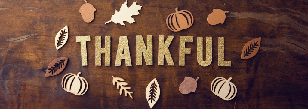 November Newsletter